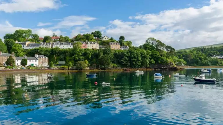 Small boats moored in a calm bay by homes & dark green trees, seen on a Treasures of Ireland & The British Archipelagoes trip.