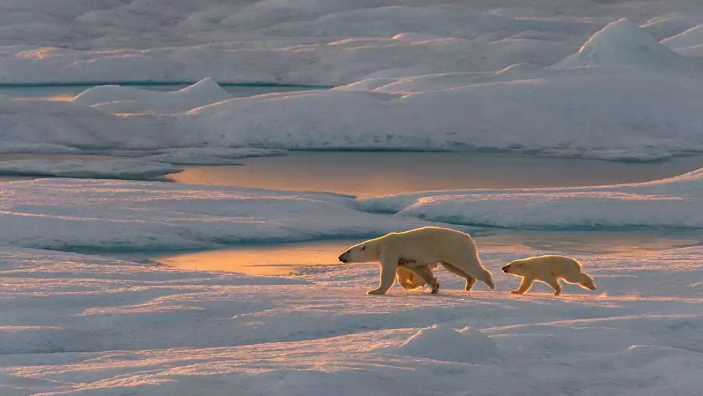 Photo by: Laurence Fischer/PONANT