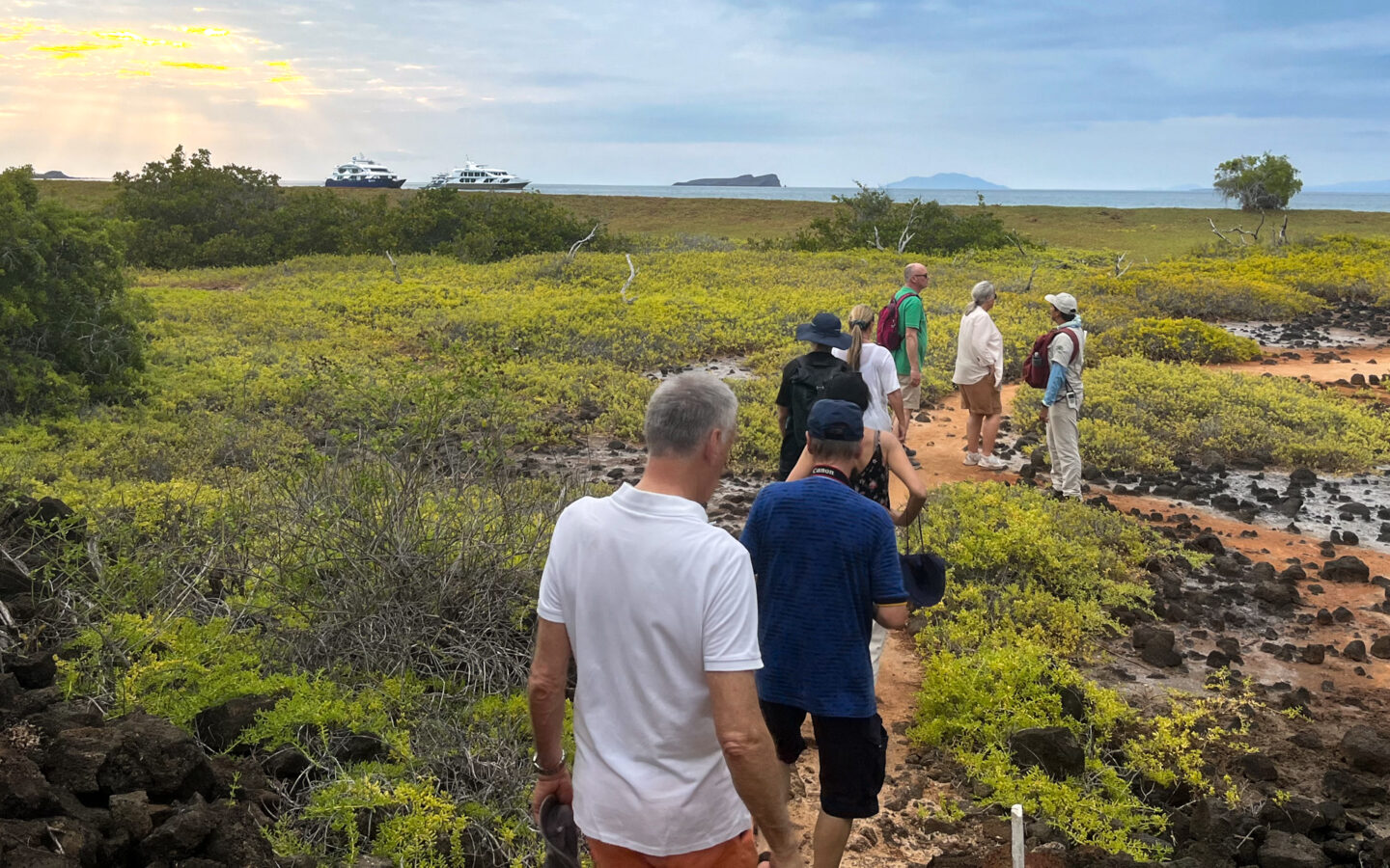Group of travelers walk along green brush and black volcanic rocks on island hike in Galapagos, Elite and Endemic ships float in distance.