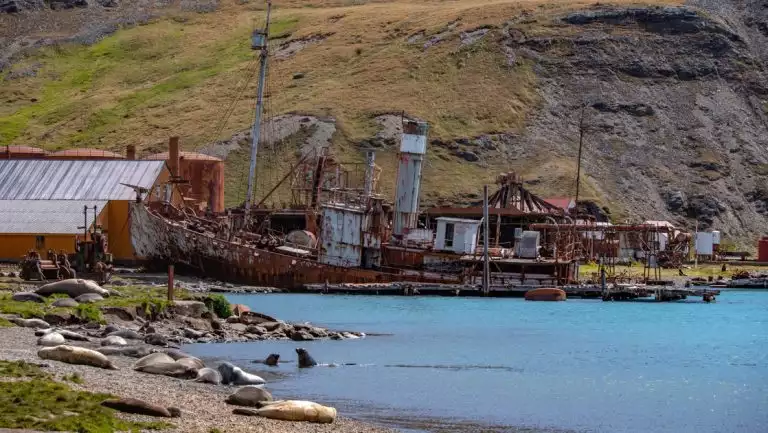 Large rusted & abandoned ship at Stromness, South Georgia Island, sits among grassy hills & rusted out whaling buildings.