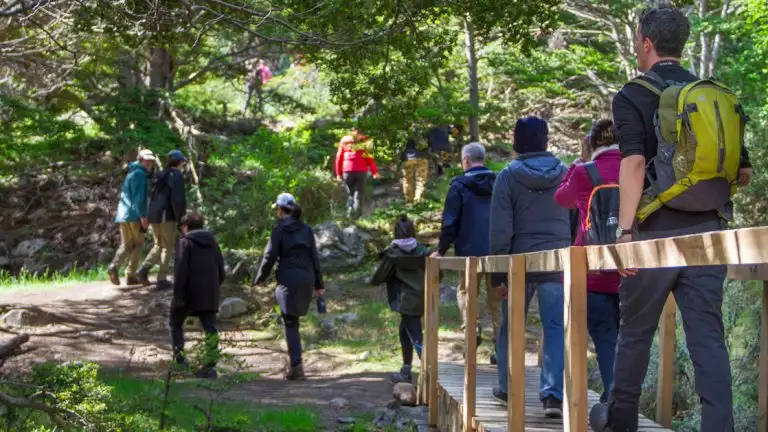 While on the Patagonia Explorer from Ushuaia to Punta Arenas you will have the opportunity to see the wild open spaces hiking