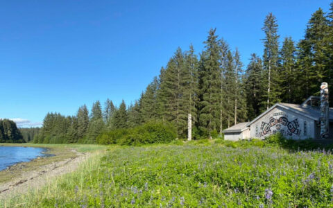 Wooden tribal house with native paintings sits on grassy knoll near water, backed by thick forest, in Glacier Bay National Park.