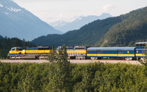 Blue and yellow alaska railroad train going through green forest with a mountain behind