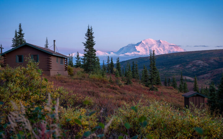 Denali mountain in pastel alpen glow colors on a clear day. Camp Denali Lodge and wilderness in the foreground