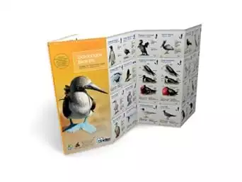 Pocket guide cover of Galapagos Birds Life (submersible field-guide)