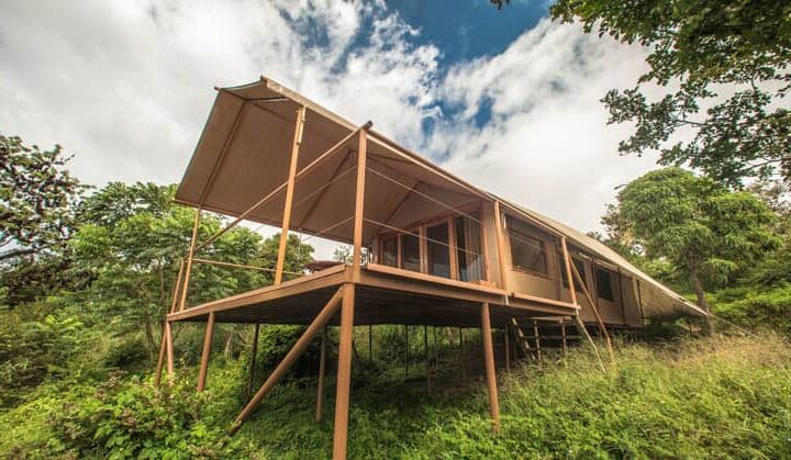 Exterior of tent among the trees at Galapagos Safari Camp Santa Cruz Highlands in the Galapagos Islands