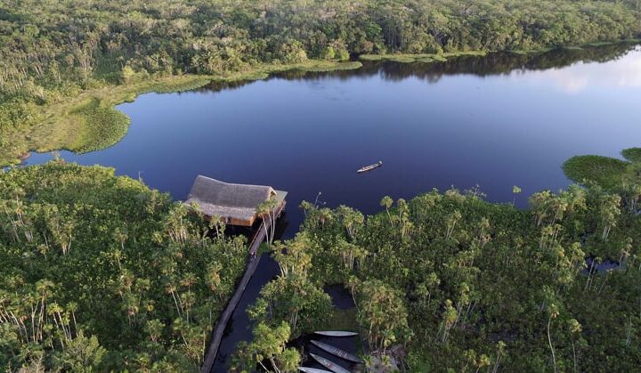 An aerial view of the Sacha Jungle Lodge, a sustainable hotel nestled in the Ecuadorian Amazon on the edge of a lake with 26 private thatched-roof cabins.