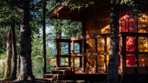 Tan exterior of a guest cabin at Denali Cabins with red door, small front porch with steps & guardrails in a forested setting.