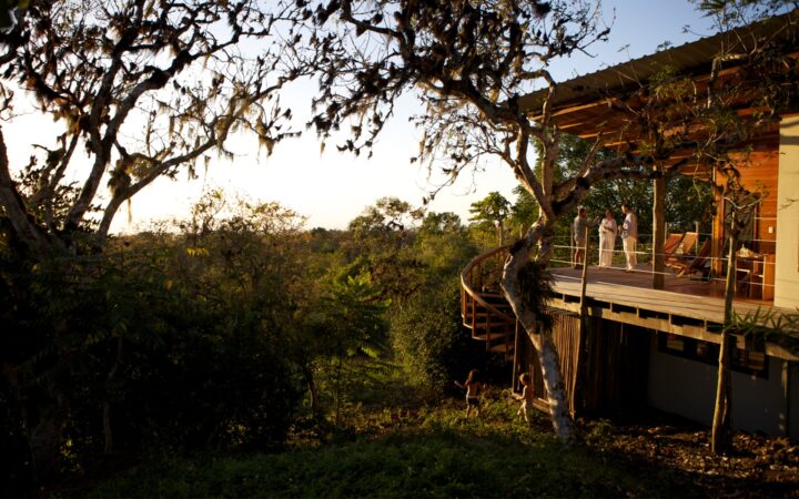 Nestled in the lush green highlands of the Galapagos, three guests stand on the patio of the Galapagos Safari camp lodge.