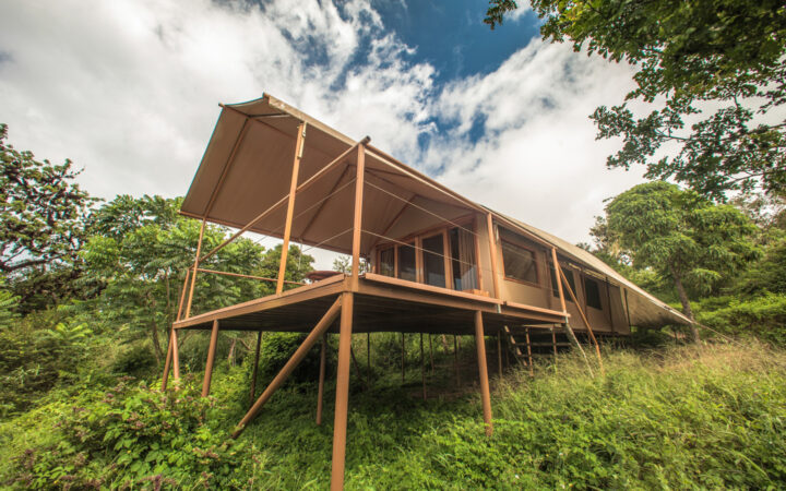 Exterior of tent among the trees at Galapagos Safari Camp Santa Cruz Highlands in the Galapagos Islands