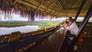Family sits at wood bar above lake, near opening in thatch roof, looking through binoculars & photographing the jungle beyond.