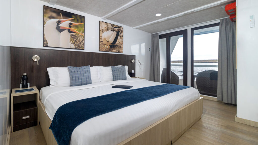 Junior Suite #8 or #9 with king bed aboard Natural Paradise