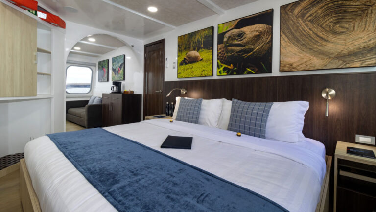 Bedroom of Junior Suite #1 on Natural Paradise Galapagos yacht with king bed in white & blue linens under framed wildlife photos.