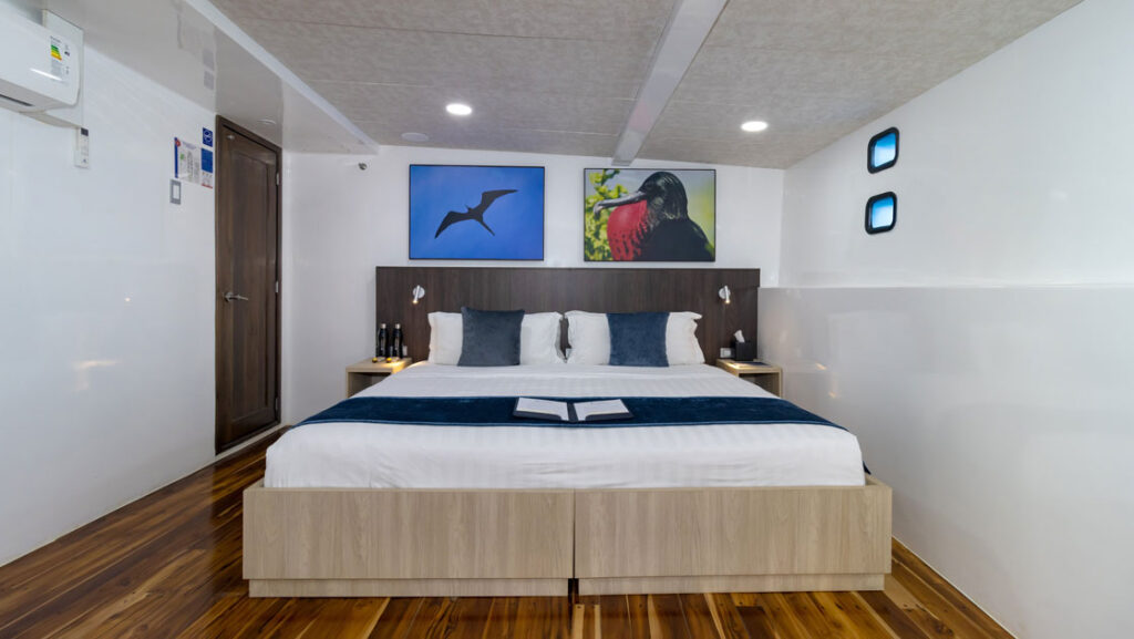 Standard cabin #4 with king bed aboard Natural Paradise