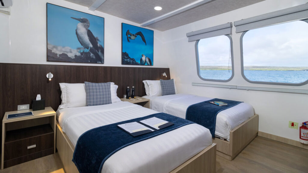 Standard cabin #2 with twin beds aboard Natural Paradise