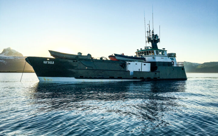 Port side of Ursus small ship cruising in Alaska.