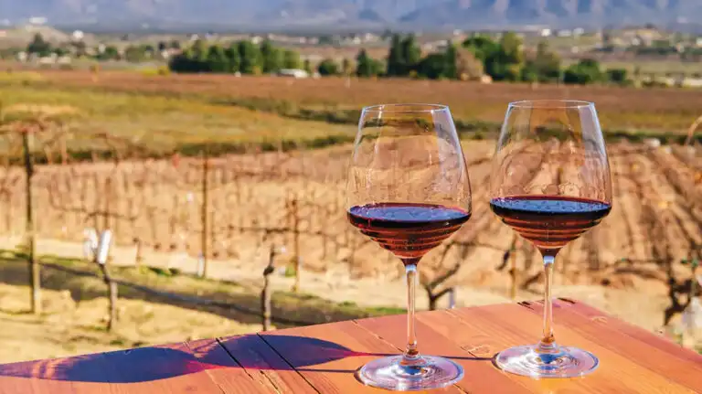 Wine glasses sitting on a rable with a tasting of red wine overlooking the vinyards