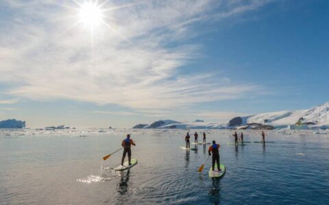 A group of people paddle stand-up boards on calm waters in the ocean in antarctica