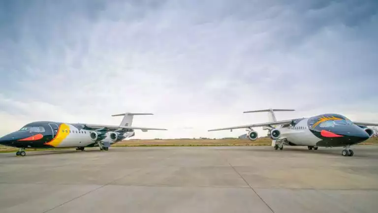 2 small jets painted like king penguins in white, black, orange & yellow sit on concrete tarmac under cloudy skies.