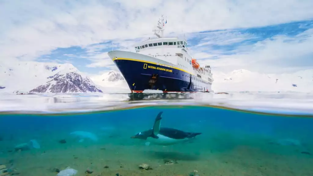 A Gentoo Penguin swims near the NG explorer at Neko Harbor, Antarctic Peninsula.