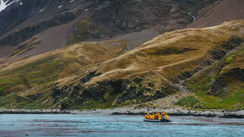 Zodiac with South Georgia cruise travelers in yellow jackets approaches a remote beach with king penguins under green hills.