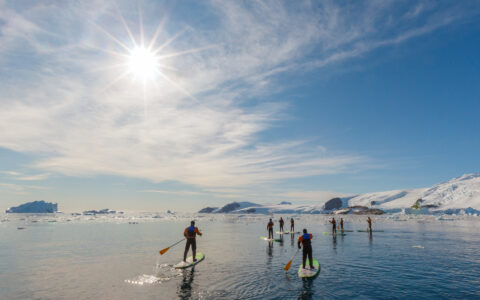 Luxury expedition travelers paddleboard through calm Antarctic waters under a bright sun.