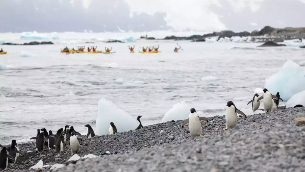 Photo by: Michelle Sole/Quark Expeditions