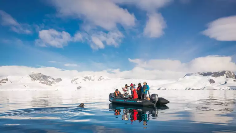 Zodiac boat with Polar Circle Cruise Antarctica travelers sits in glassy water as seal pokes its head up on a sunny day.