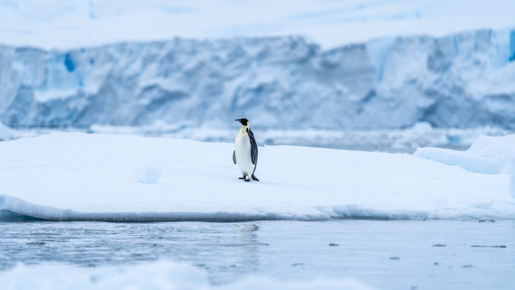 Photo by: Ophelie Bleunven/PONANT