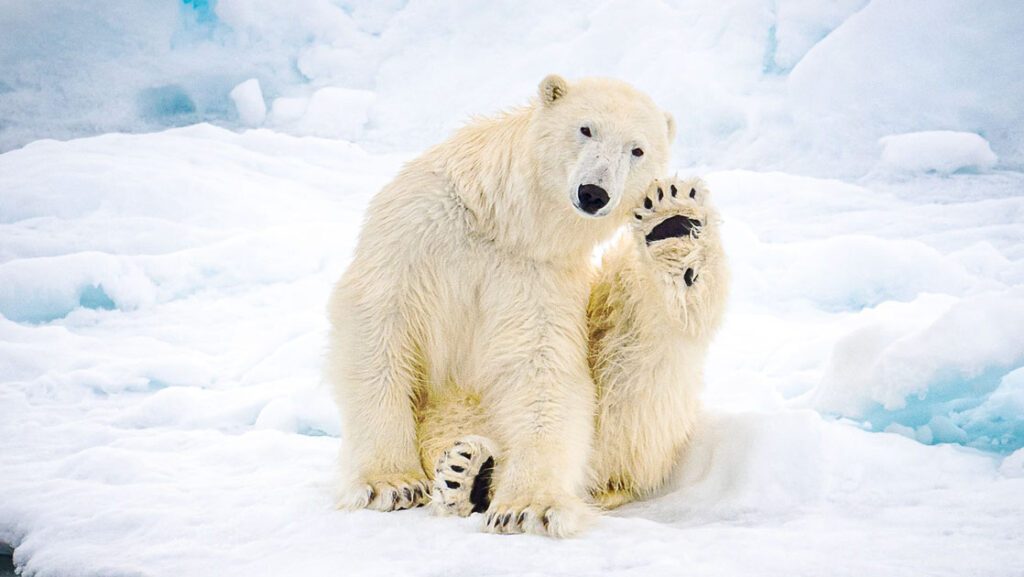 Photo by: Morgane Monneret/PONANT