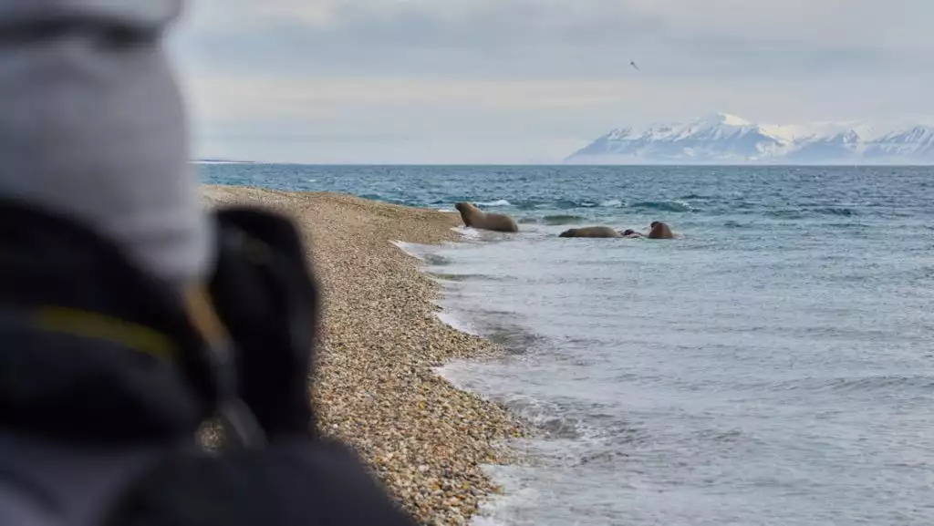 Photo by: Markus Eichenberger
