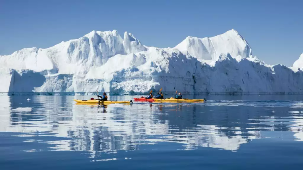 Kayakers in yellow kayaks naviagte calm icy waters with large white icebergs on a blue sky day