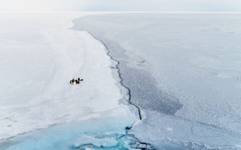 Aerial view of small group of emperor penguins standing on white snowfield beside blue ice in the Ross Sea.