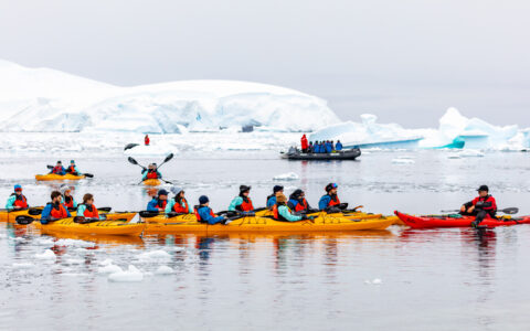 Small group of tandem kayakers in yellow boats rest beside guide in red boat while paddling among iceberg bits in Antarctica.