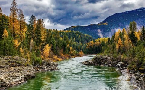 River flowing through the changing fall colors of the foliage in southeast Alaska.