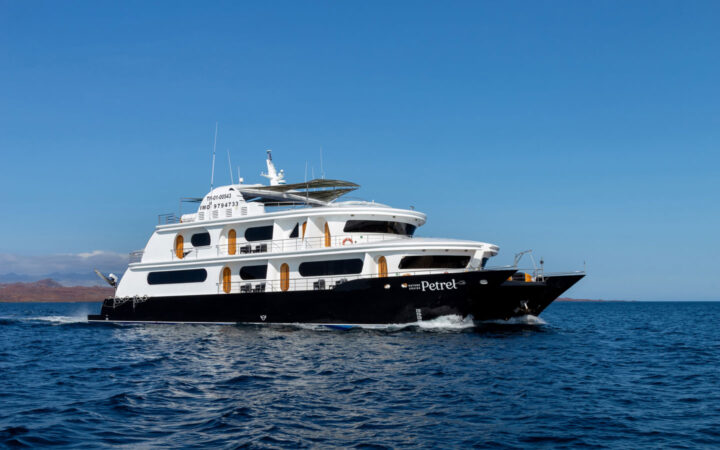 Petrel Galapagos catamaran with dark blue dual hull & 3 white upper decks cruises through calm water on a sunny day.