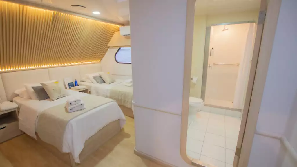 Standard Ocean View with twin beds aboard the Seaman Journey