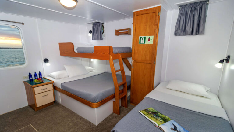 Cabin 1 aboard Cachalote Explorer with three beds and window.