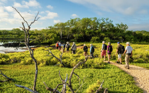 Guests on a dirt trail in green, lush Cerro Dragon, Santa Cruz Island