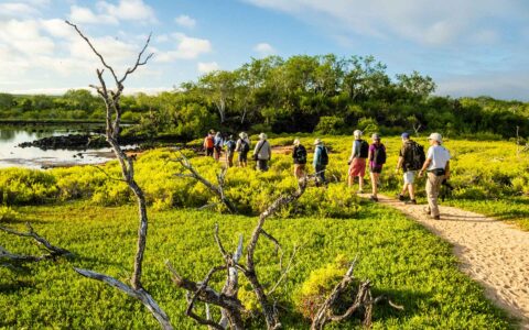Guests on a dirt trail in green, lush Cerro Dragon, Santa Cruz Island