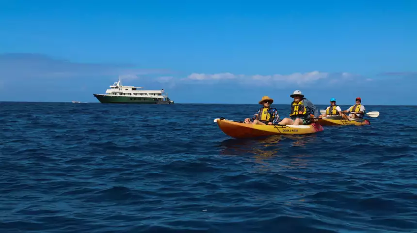 Kayakers in open water 