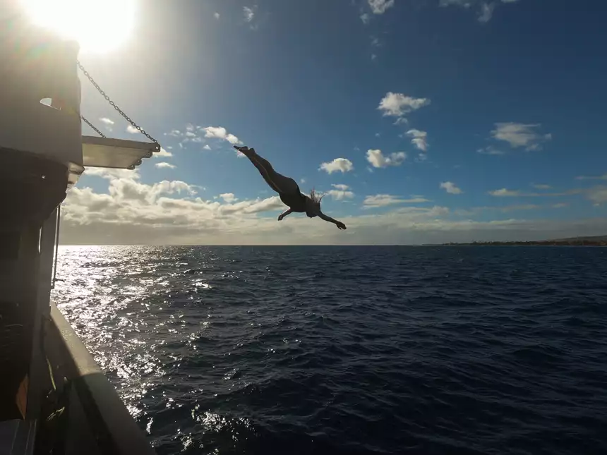 Swimmer diving head first  into the open water of Hawaii off the Safari explorer  