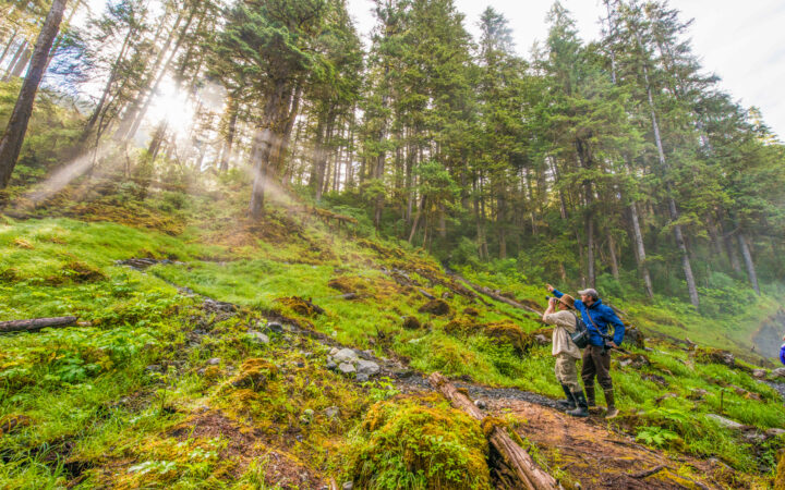 Couple stopped in an illuminated forest in the San Juan Islands to look at the sunbeam poking through the trees in the distance.