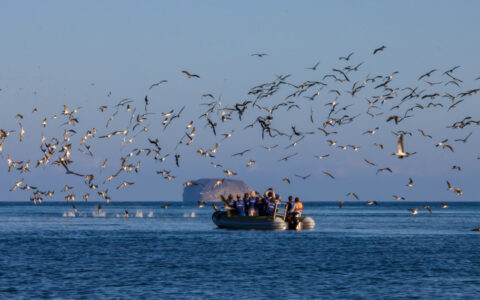 Hermes Galapagos Cruises photo 5