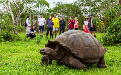 Hermes Galapagos Cruises photo 3