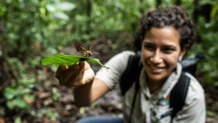 Female expedition leader shows off local insets at the the Smithsonian Tropical Research Institute, Barro Colorado, Panama.