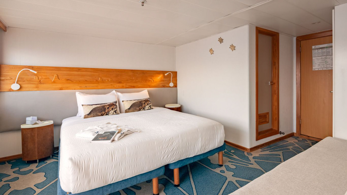 Large Balcony Suite cabin on Galapagos Legend showing king bed, desk and colorful carpet
