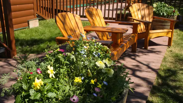 Three wooden chairs at King Salmon lodge loctaed on the back patio as outdoor seating next to fresh yellow flowers.