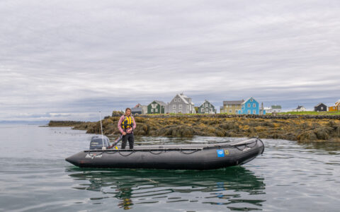 Lindblad staff member skillfully navigate a Zodiac boat around the scenic waters of Flatey Island, Breiðafjörður, Iceland.