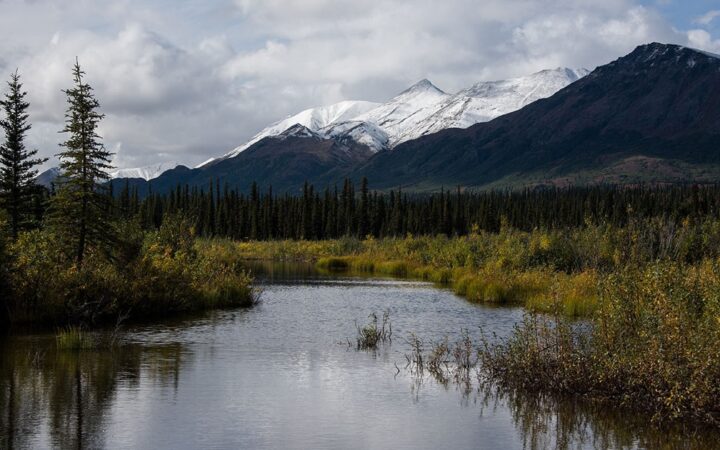 Scenic view of lazy river with bright green marsh & pine trees beside & tall green & snow-covered mountains behind.